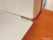 Omagiu lui Nicolae Ceaușescu 