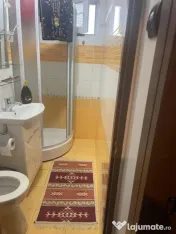 Apartament 3 camere-Astra-Carpatilor 