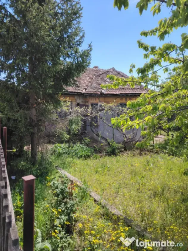 Casă de vânzare în comuna Caraula – 65 mp, teren genero