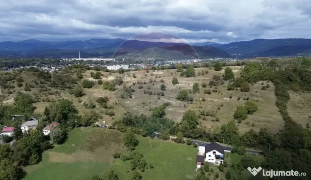 Teren de vânzare in Campulung-Muscel - 33598 mp
