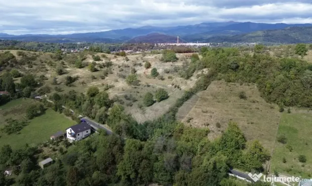 Teren de vânzare in Campulung-Muscel - 33598 mp