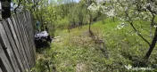 Teren cu Casuta de lemn in Sotrile (langă Valea Doftanei) 
