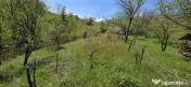 Teren cu Casuta de lemn in Sotrile (langă Valea Doftanei) 