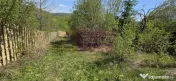 Teren cu Casuta de lemn in Sotrile (langă Valea Doftanei) 
