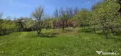 Teren cu Casuta de lemn in Sotrile (langă Valea Doftanei) 