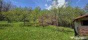 Teren cu Casuta de lemn in Sotrile (langă Valea Doftanei) 