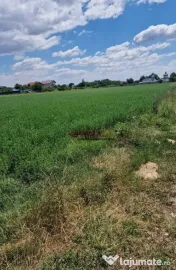 Teren intravilan 9.470 mp – Bolintin-Deal, locație 