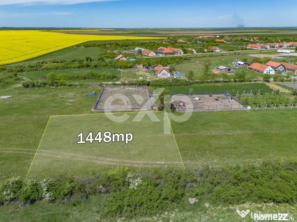 DE VÂNZARE: 1.448 MP DE „LINIȘTE PURĂ” LA NIȚCHIDORF