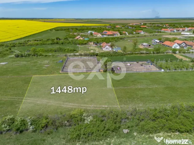 DE VÂNZARE: 1.448 MP DE „LINIȘTE PURĂ” LA NIȚCHIDORF
