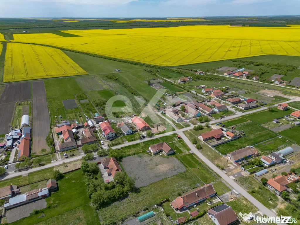 DE VÂNZARE: 1.448 MP DE „LINIȘTE PURĂ” LA NIȚCHIDORF