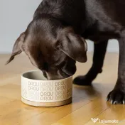 Bol Beige Signature BRAUBRAU pentru Câini și Pisici 