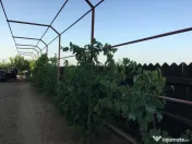 Casă spațioasă 184 mp de vânzare – Sadova, Dolj 