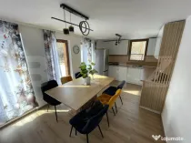 Cabana in padure, langa Codlea