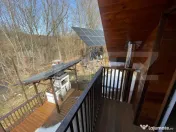 Cabana in padure, langa Codlea 