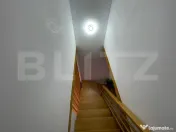 Cabana in padure, langa Codlea 