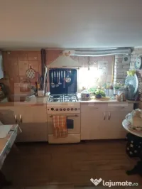 Casă cu teren generos de 739 mp în Dâmbu Pietros 