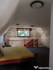 Casă cu teren generos de 739 mp în Dâmbu Pietros 