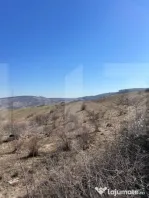 Oportunitate de Investiție - 4100 mp intravilan in Borhanci
