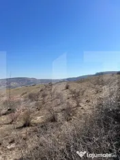 Oportunitate de Investiție - 4100 mp intravilan in Borhanci 