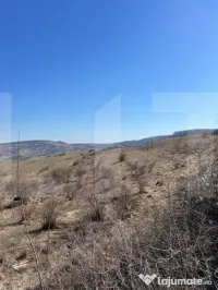 Oportunitate de Investiție - 4100 mp intravilan in Borhanci 