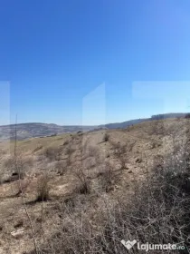 Oportunitate de Investiție - 4100 mp intravilan in Borhanci