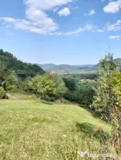 Teren generos de 70290 mp, 5045 mp intravilan, Poiana Ampoiu 
