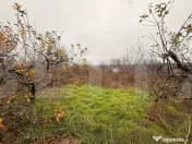 Teren intravilan de vânzare, Botosani - Central 