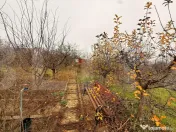 Teren intravilan de vânzare, Botosani - Central 