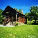 Casa de vacanta cu 4 camere,3300 mp teren,Rimet