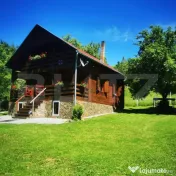 Casa de vacanta cu 4 camere,3300 mp teren,Rimet 
