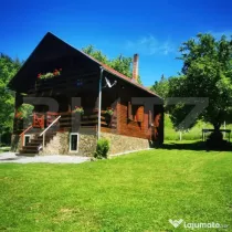 Casa de vacanta cu 4 camere,3300 mp teren,Rimet