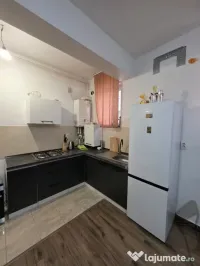 Dimitrie leonida demisol inalt amurgului 29 