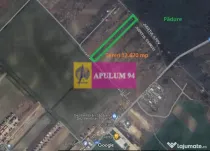 Săbăreni, teren 12620 mp pentru case, lângă pădure