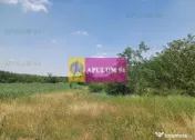 Săbăreni, teren 12620 mp pentru case, lângă pădure 