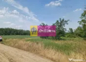 Săbăreni, teren 12620 mp pentru case, lângă pădure 