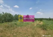 Săbăreni, teren 12620 mp pentru case, lângă pădure 