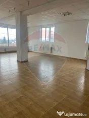 Casă / Vilă cu 11 camere de vânzare 