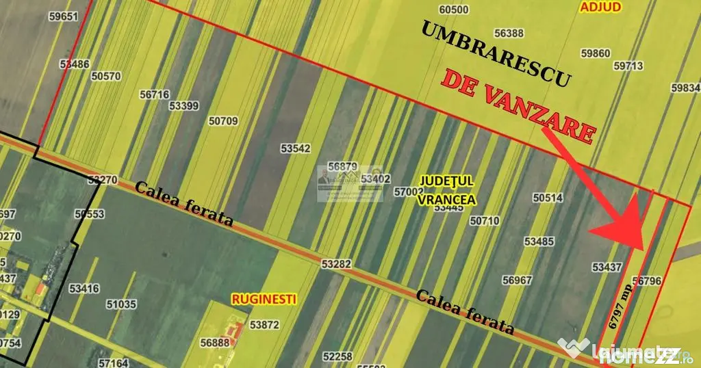 Teren agricol Ruginesti/La granita cu Umbrarescu
