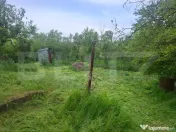???? Casă cu Panoramă Superbă și 2300 mp Teren – Lini? 