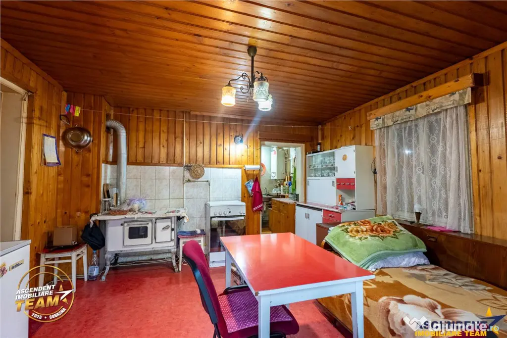 Casa in inima statiunii Covasna, cu gradina, vie si pomi fru