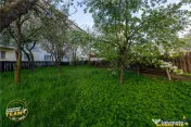 Casa in inima statiunii Covasna, cu gradina, vie si pomi fru 
