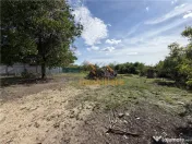 CASA CU TEREN 1230 MP | ACCES AUTO | ZONA SALARD | BIHOR 