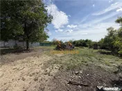 CASA CU TEREN 1230 MP | ACCES AUTO | ZONA SALARD | BIHOR