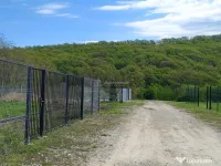 Teren la liziera padurii de 