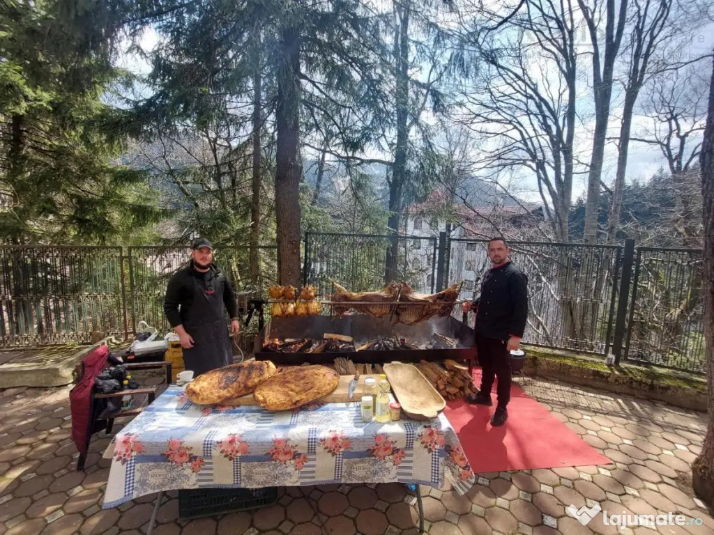 Hotel de 20 de camere in renumita statiune turistica Poian