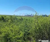 Teren extravilan 11,132 mp, Săcădat, de vânzare