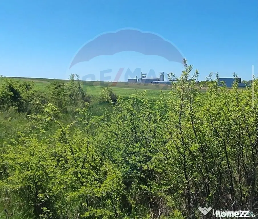 Teren extravilan 11,132 mp, Săcădat, de vânzare - Sacadat (Bihor)