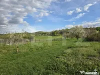 Teren intravilan, CONSTRUCTII, Florești, 3.148 mp, 2 frontu 