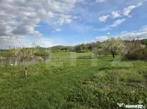 Teren intravilan, CONSTRUCTII, Florești, 3.148 mp, 2 frontu