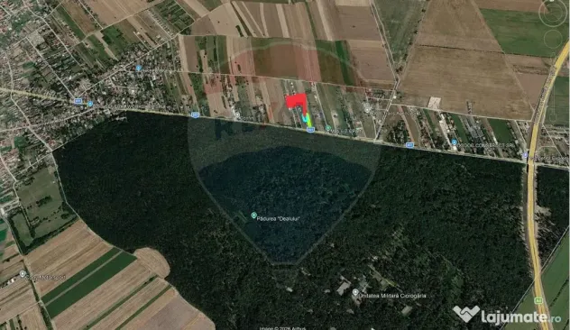 Teren intravilan, langa padure, 752 mp, Bolintin-Deal